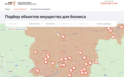 Для предпринимателей и самозанятых Красноярского края заработал портал имущественной поддержки